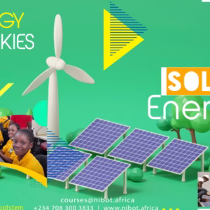 Energy Rookies 2: Solar Energy